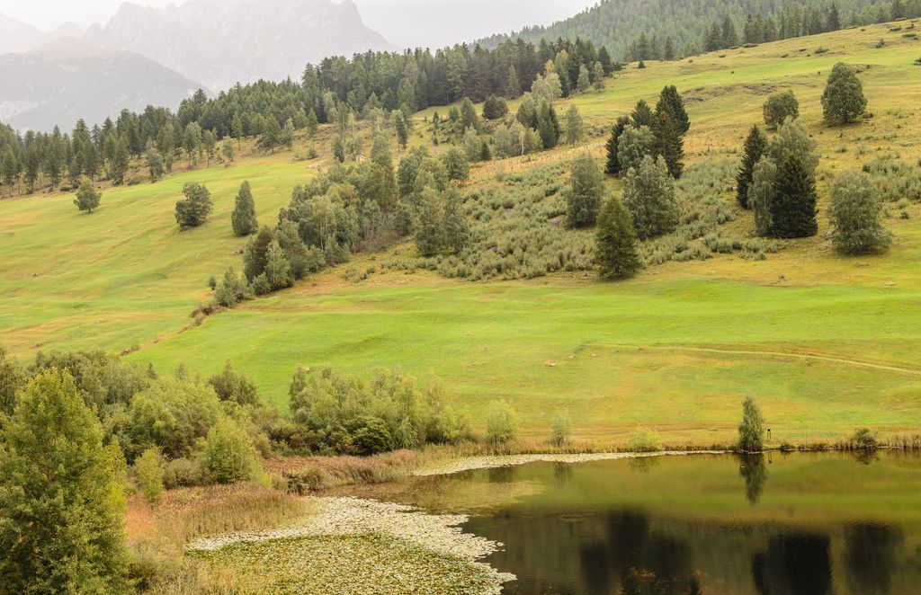 Photo №8 of Lai da Tarasp