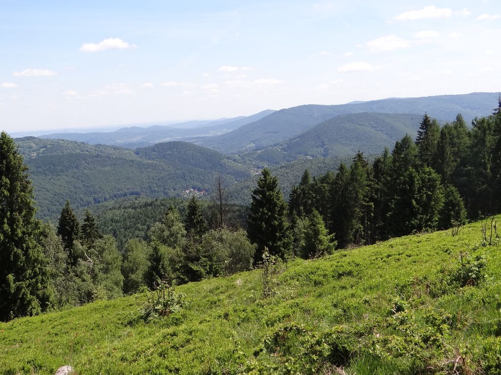 Photo №2 of Mała Bukowa