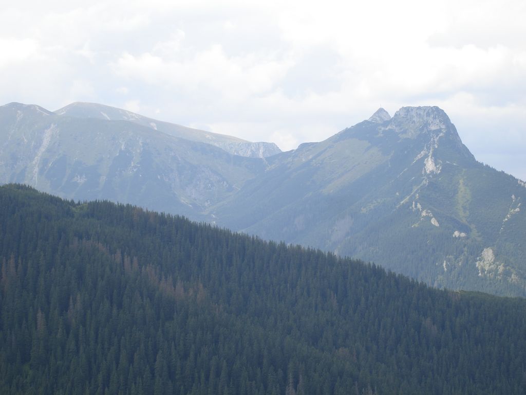 Photo №6 of Diabełek