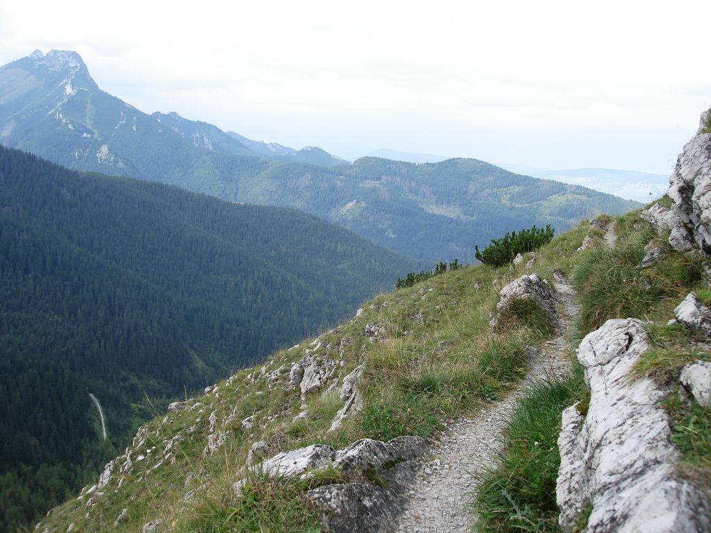 Photo №5 of Diabełek