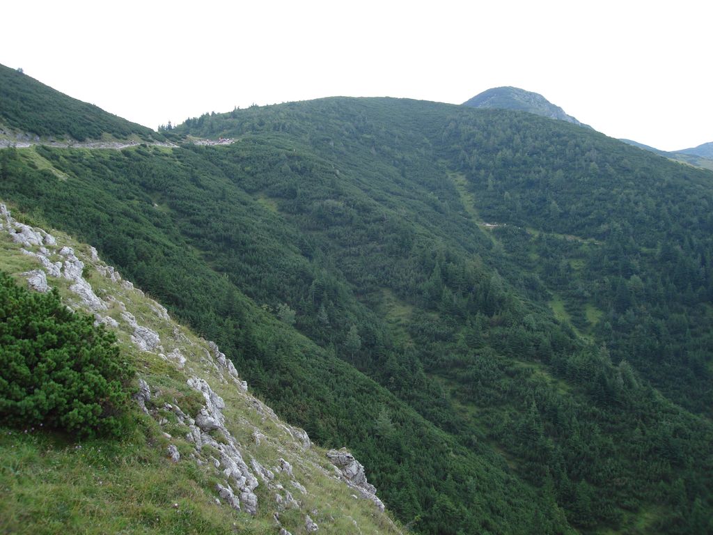 Photo №7 of Diabełek