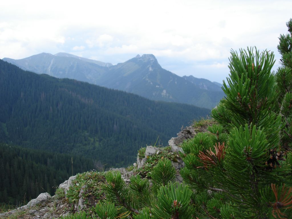Photo №8 of Diabełek