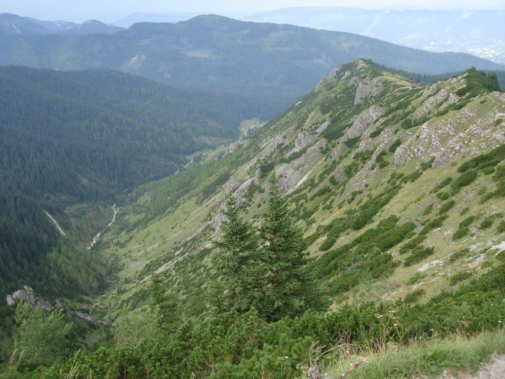 Photo №9 of Diabełek