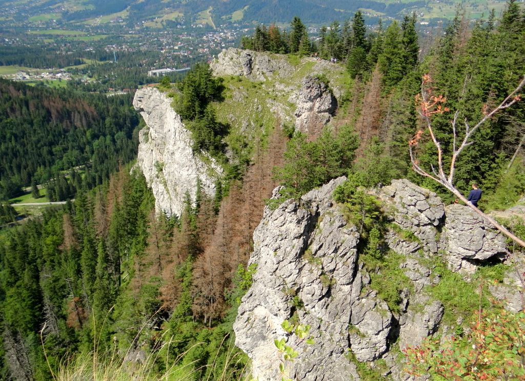 Photo №11 of Nosal