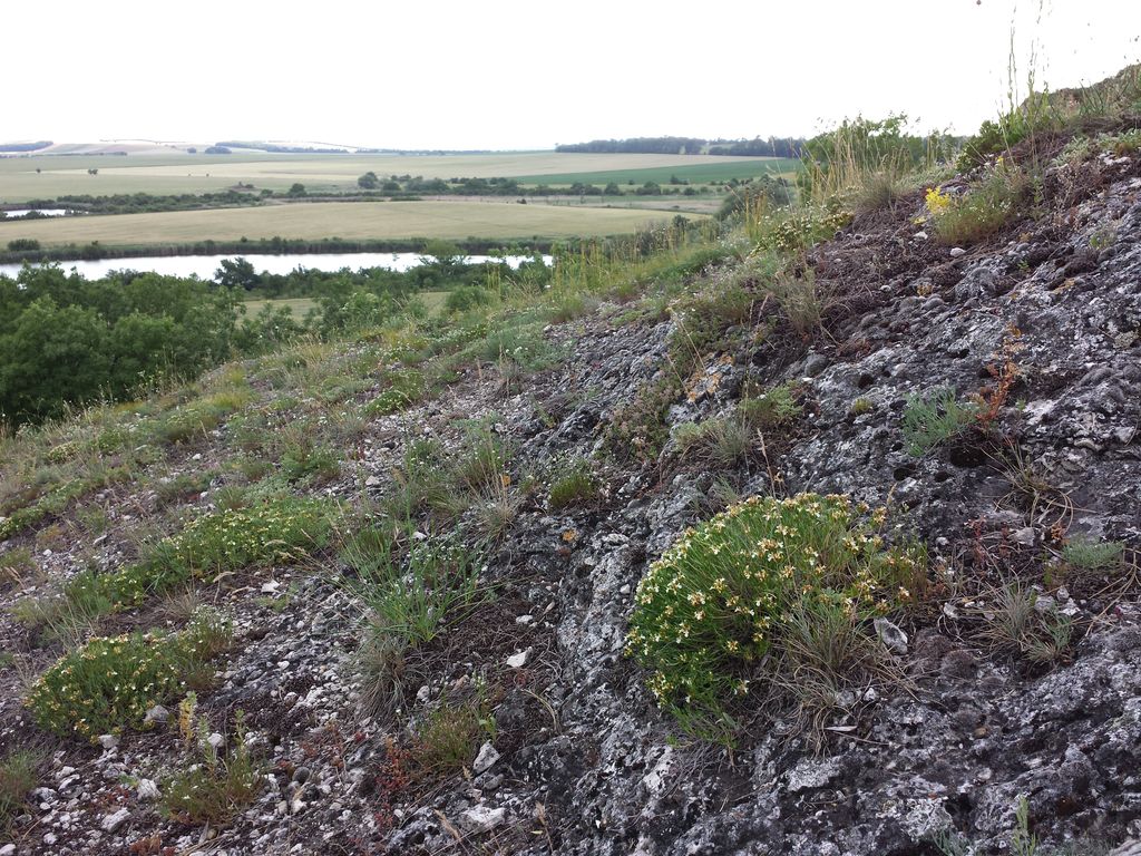 Photo №4 of Šibeniční vrch [Mikulov na Moravě]