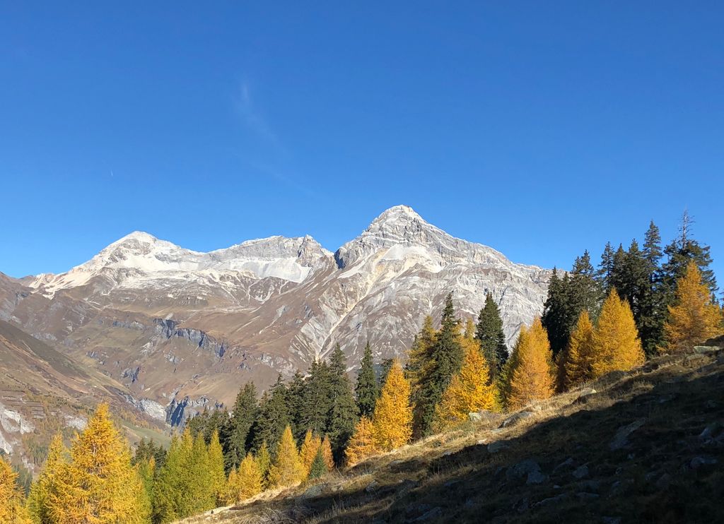 Photo №2 of Teurihorn