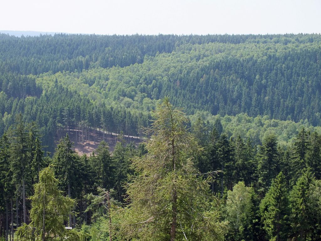 Photo №2 of Ratzenberg