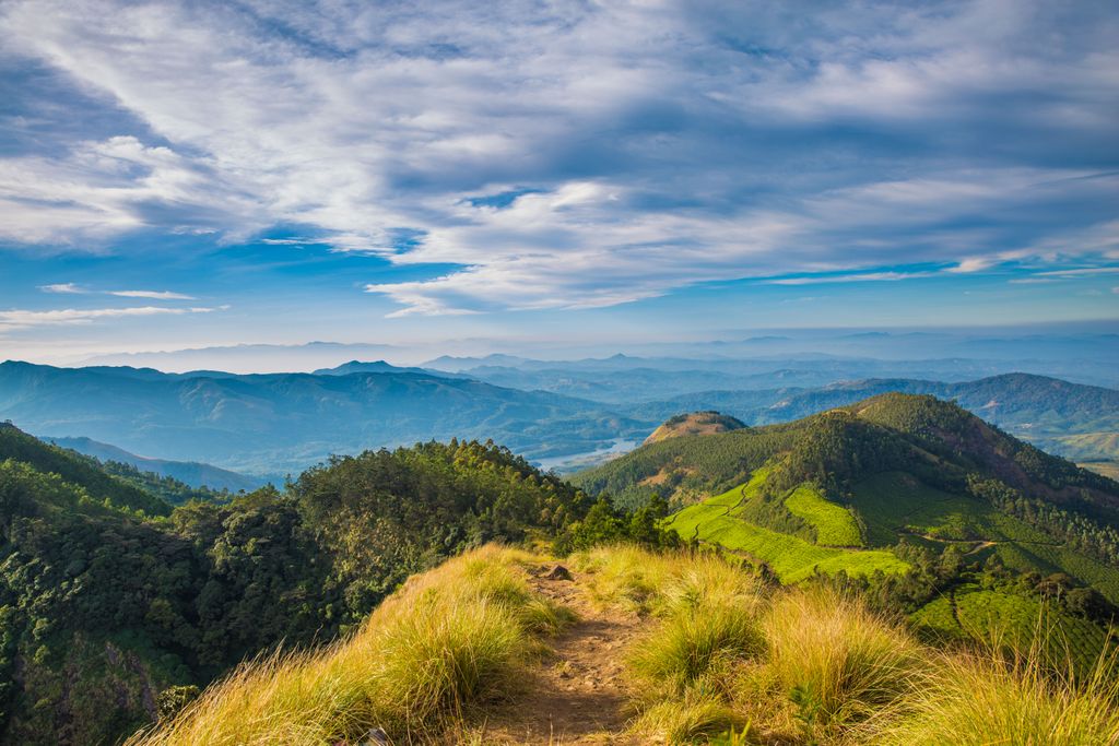 Photo №2 of Kolukkumalai
