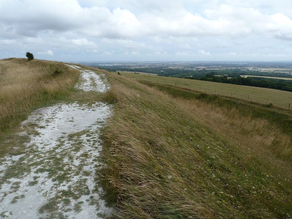Photo №2 of The Trundle