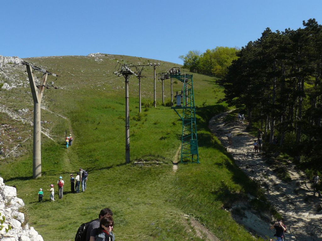 Dračí hlava