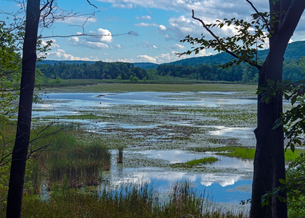 Photo №3 of Thompson Pond