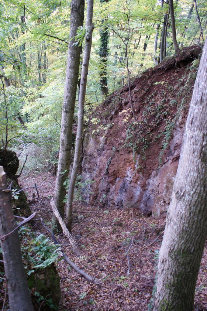 Photo №2 of Basaltspalte Tieschen
