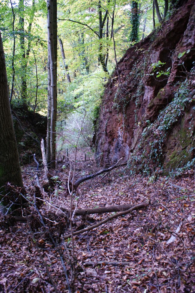 Photo №3 of Basaltspalte Tieschen