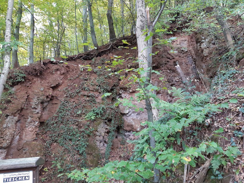 Photo №6 of Basaltspalte Tieschen