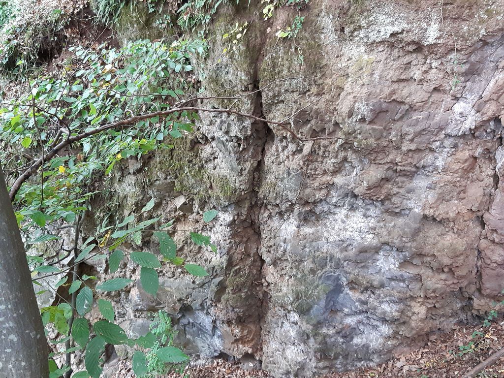 Photo №7 of Basaltspalte Tieschen