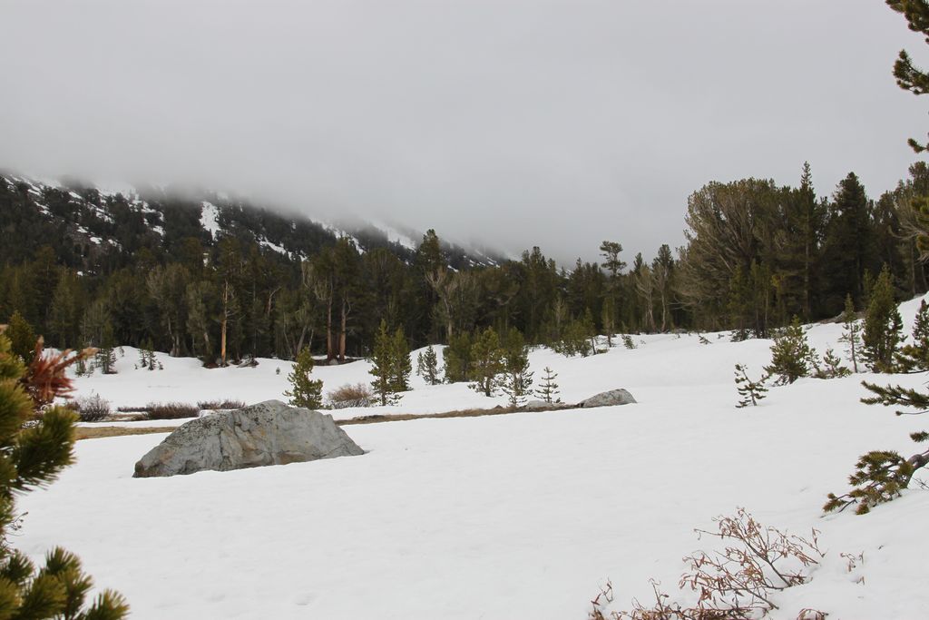 Photo №3 of Tioga Pass