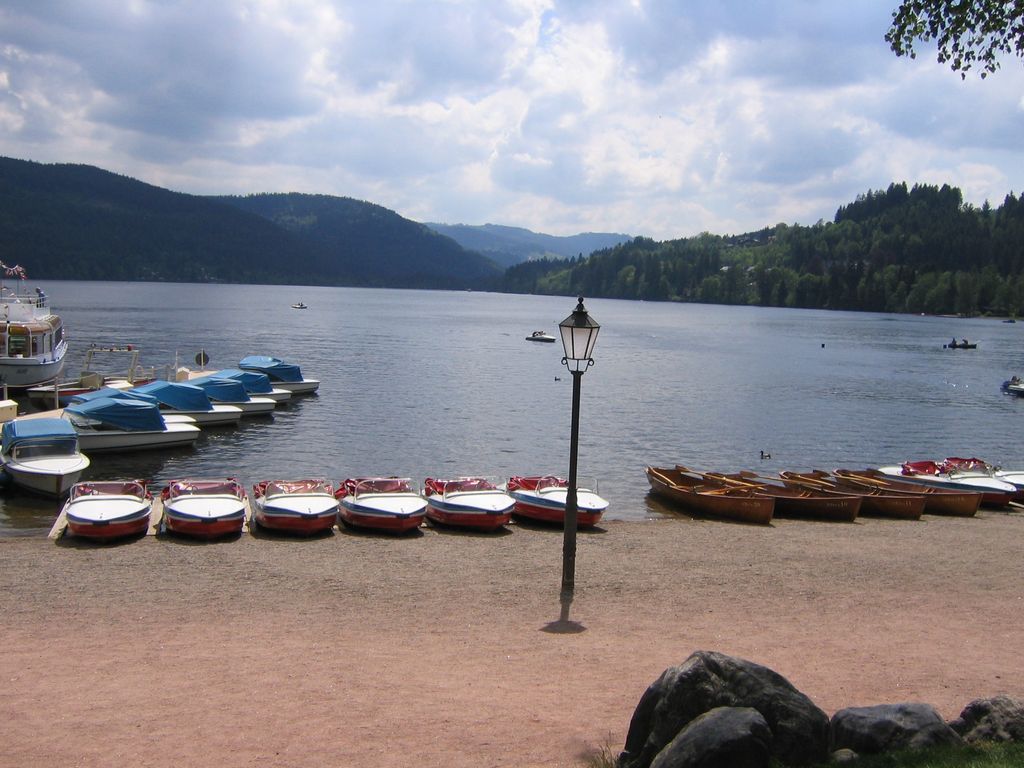 Photo №3 of Titisee