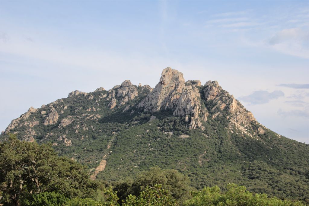 Photo №4 of Punta Tepilora