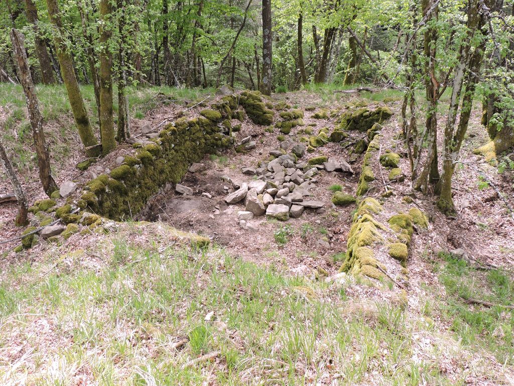 Photo №2 of Torre di Luciana