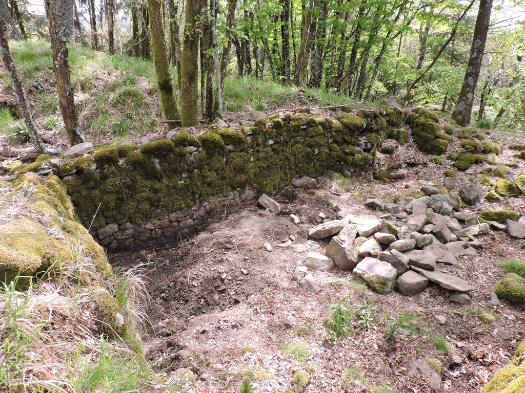 Photo №3 of Torre di Luciana