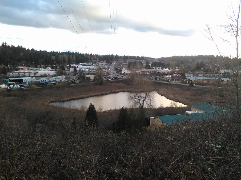 Photo №3 of Totem Lake