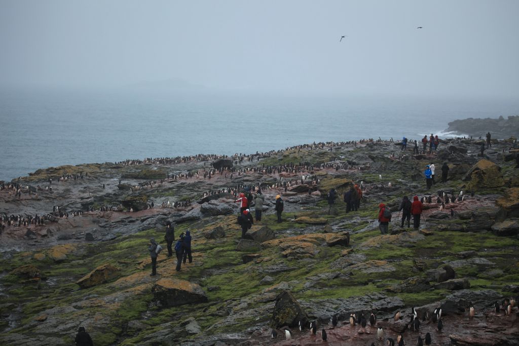 Photo №4 of Coronation Island