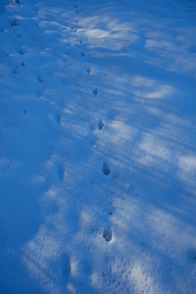 Photo №5 of Crêt du Fier