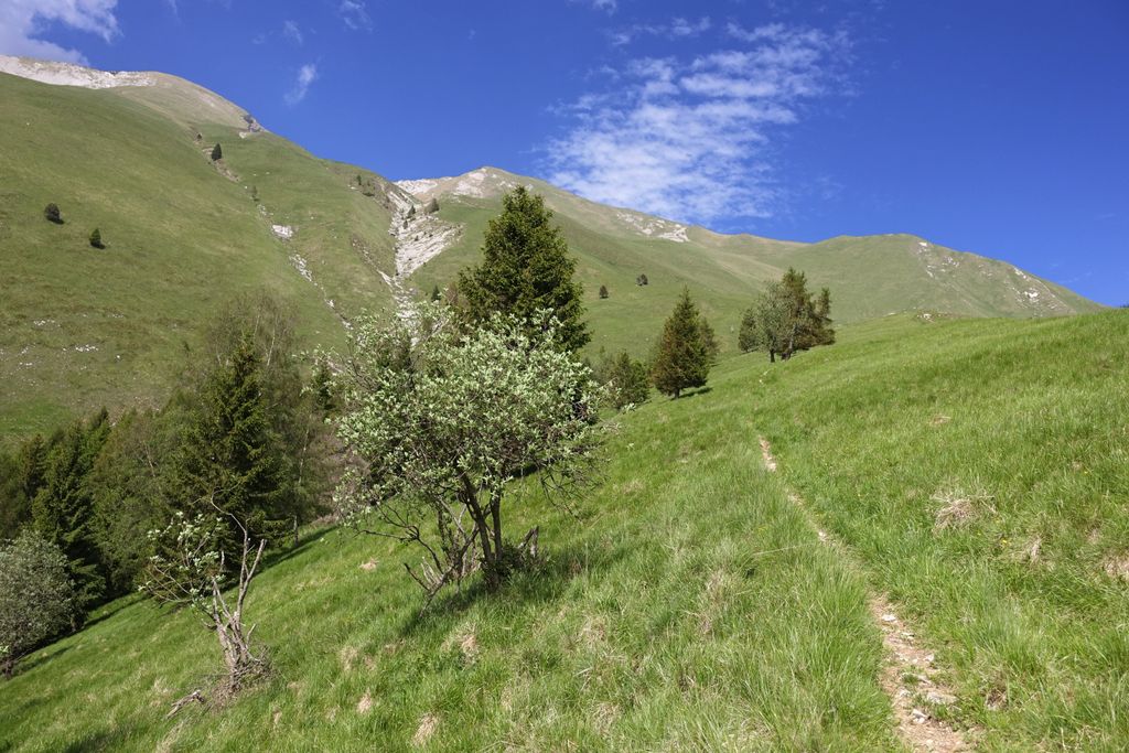 Photo №3 of Col Cavalin