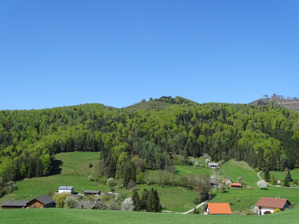 Photo №2 of Treffenkogel