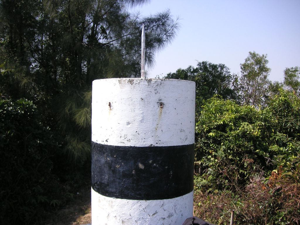 Photo №1 of Coloane Alto