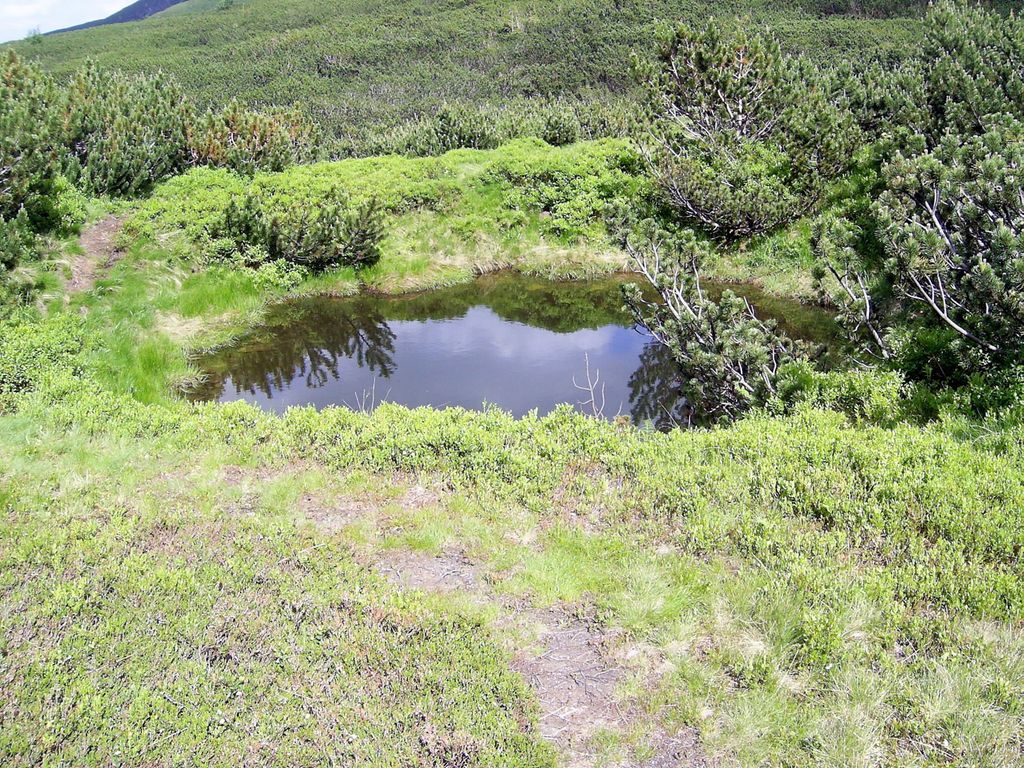 Photo №4 of Troiśniak