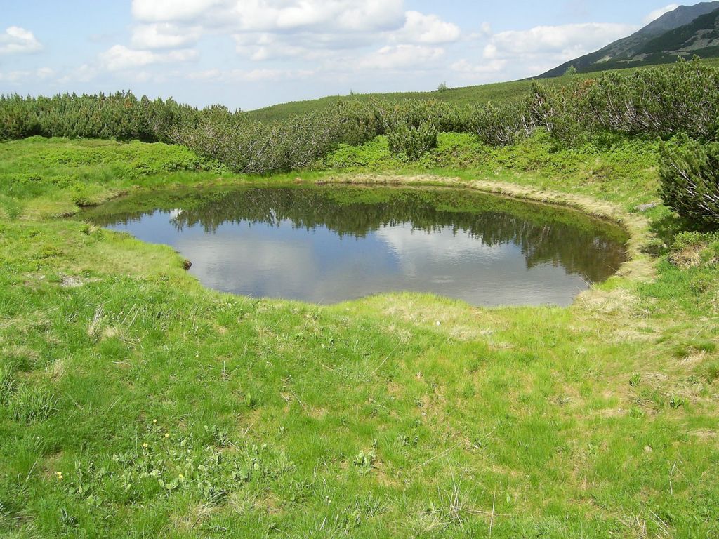 Photo №3 of Troiśniak