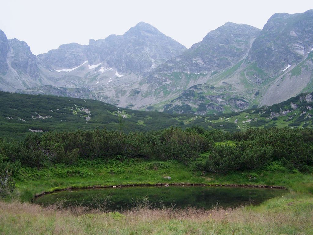 Photo №2 of Troiśniak