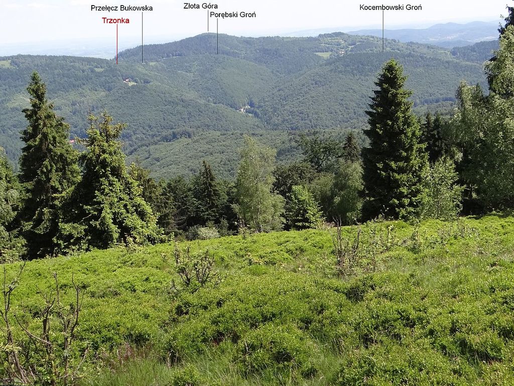 Photo №2 of Trzonka