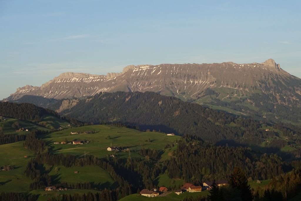 Photo №3 of Hengst