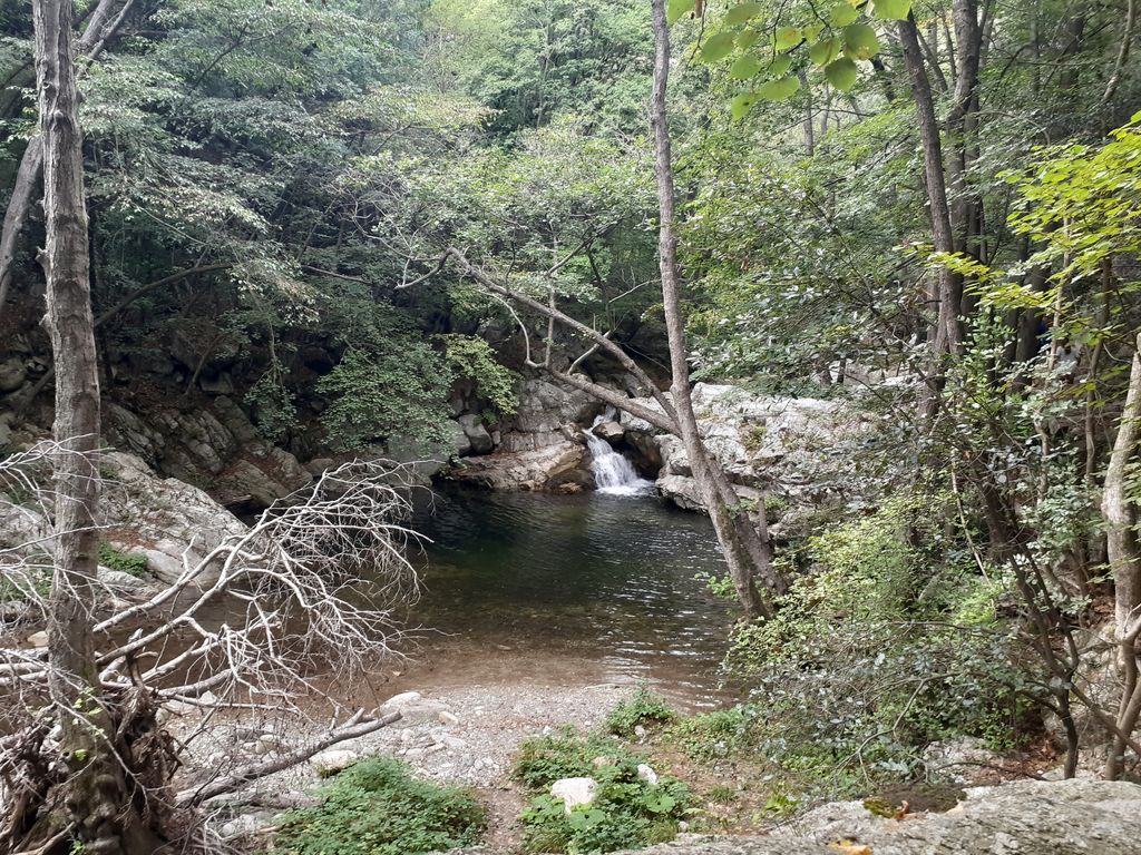 Photo №6 of Jungla