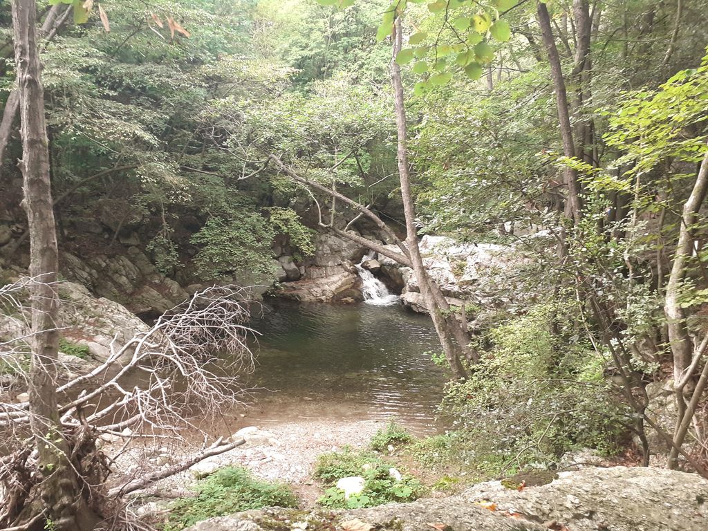 Photo №7 of Jungla