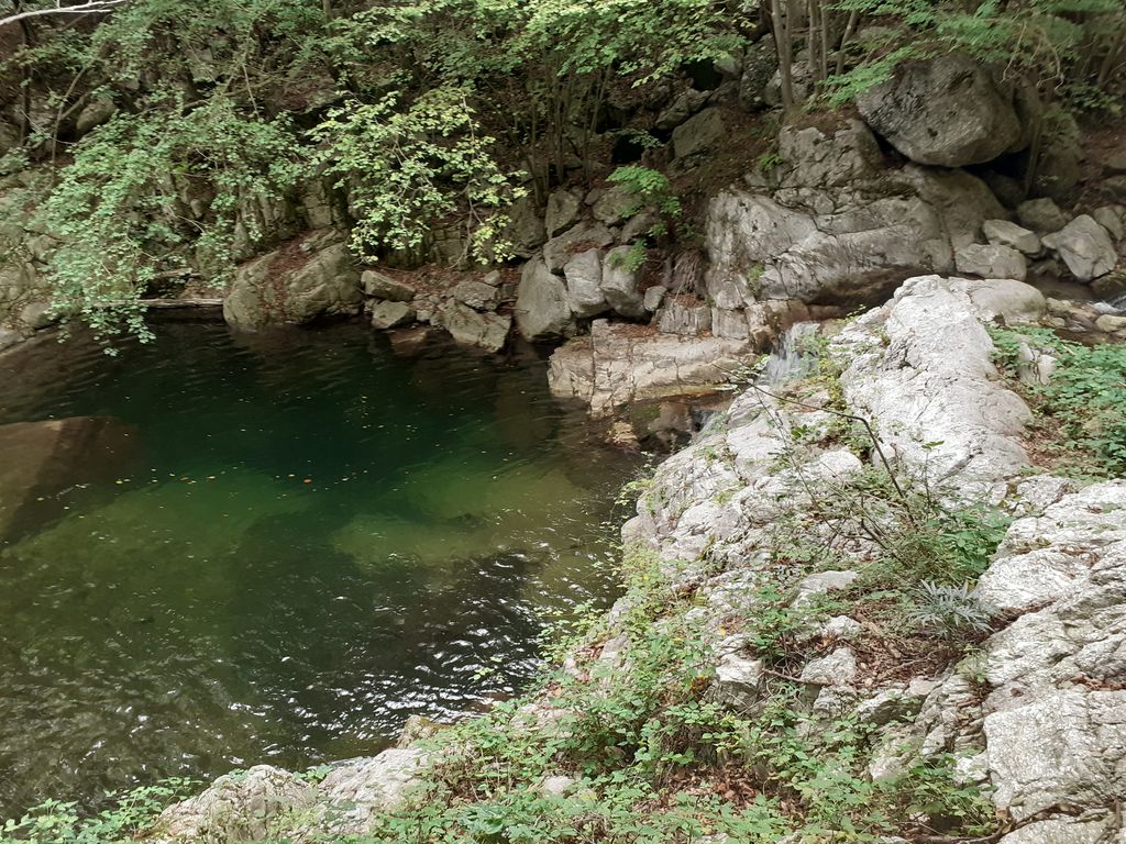 Photo №10 of Jungla