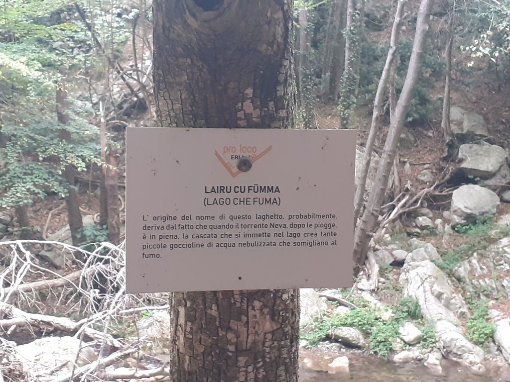 Photo №4 of Jungla