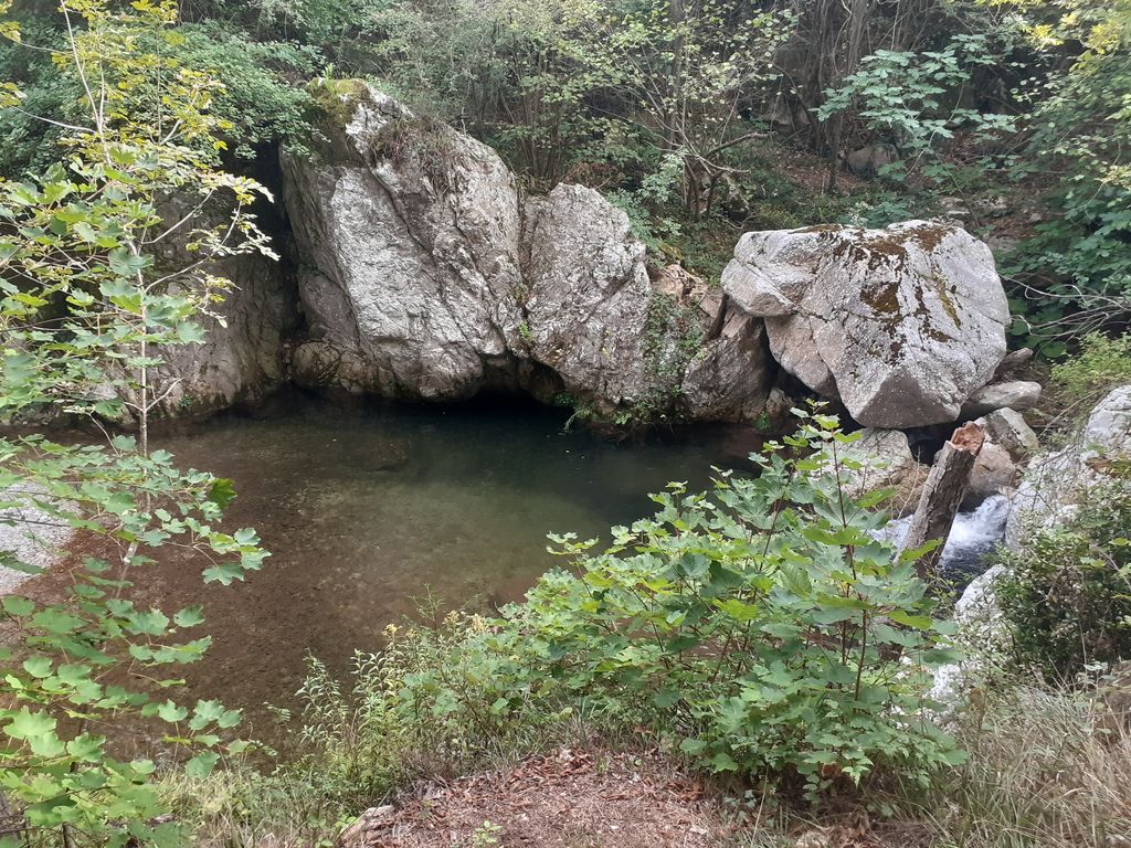 Photo №3 of Jungla