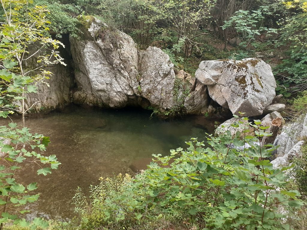 Photo №5 of Jungla