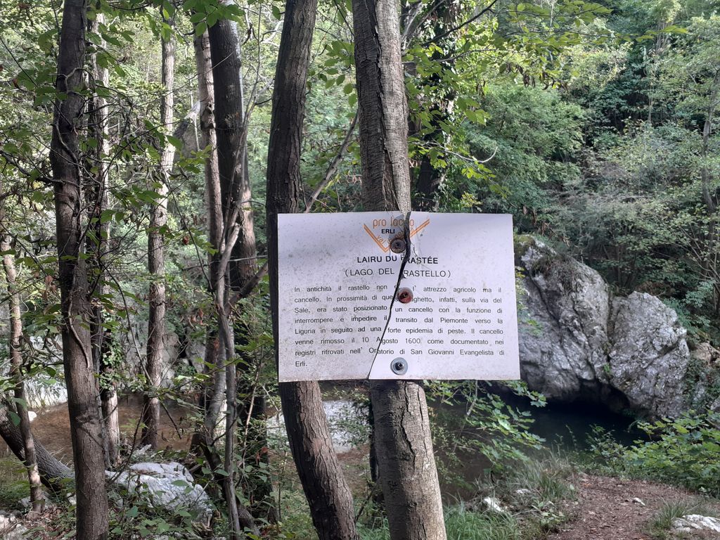 Photo №2 of Jungla