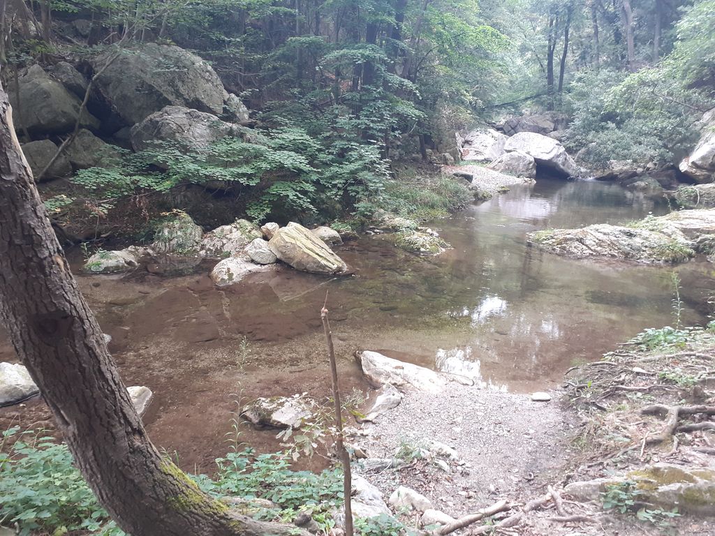 Photo №11 of Jungla