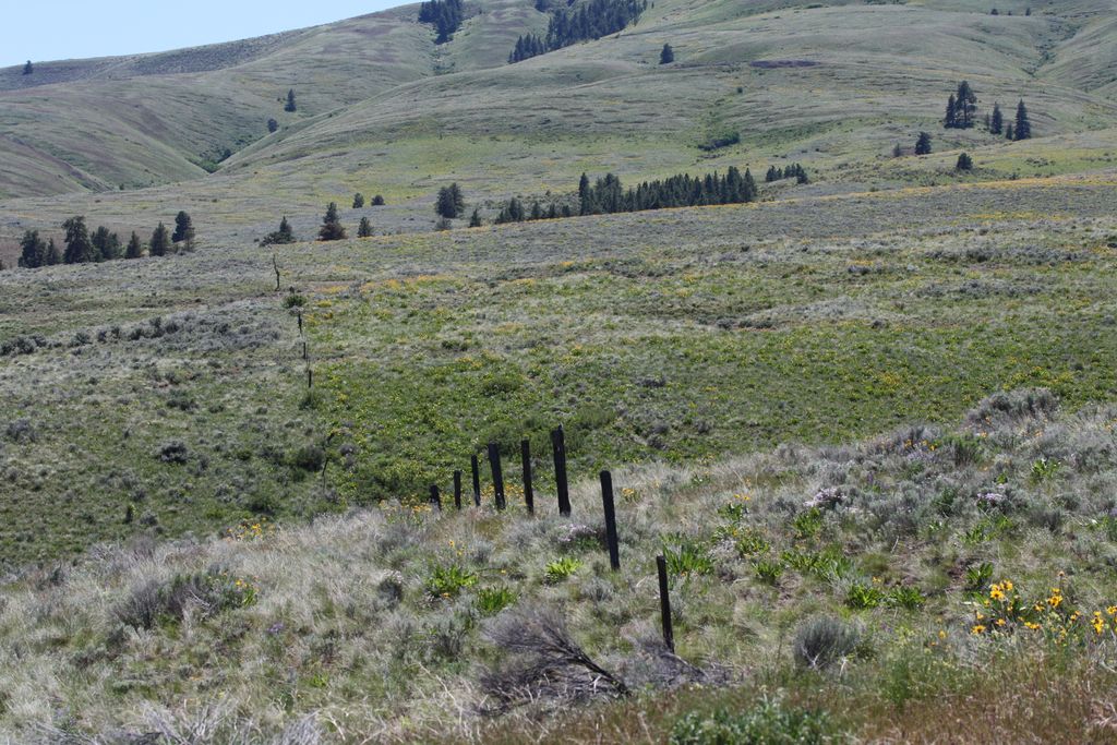 Photo №1 of Umtanum Ridge