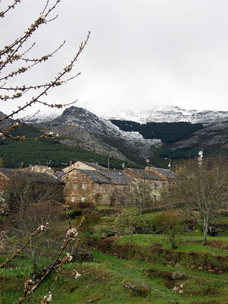 Photo №1 of Campo