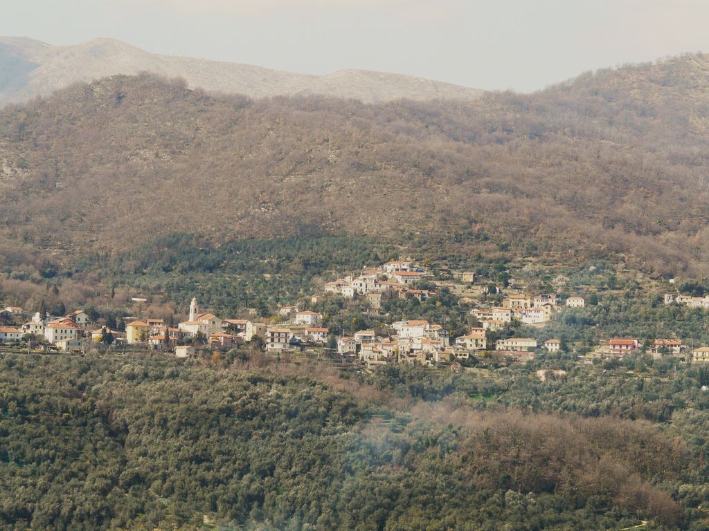 Photo №2 of Vasia