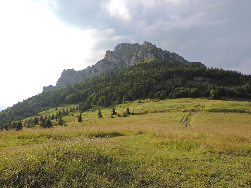 Photo №7 of Medziholie
