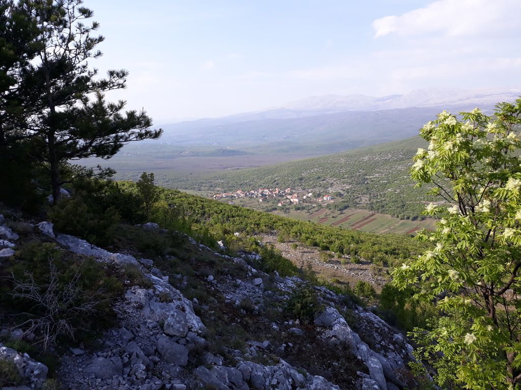 Photo №5 of Tabija