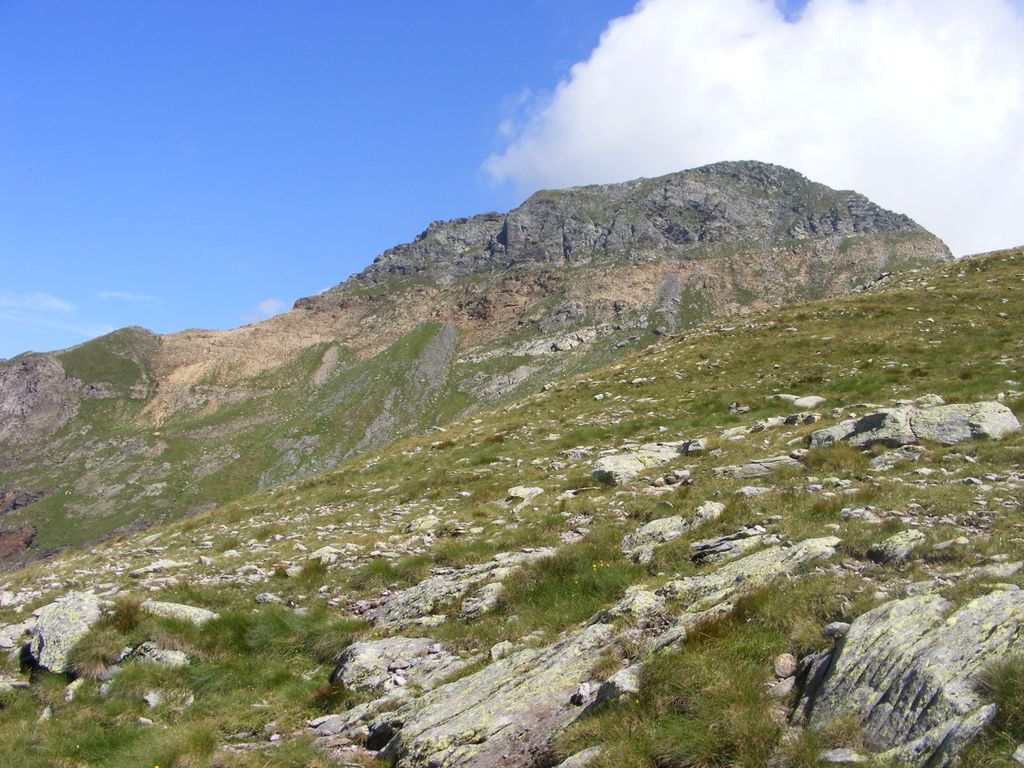 Photo №2 of Monte Venerocolo