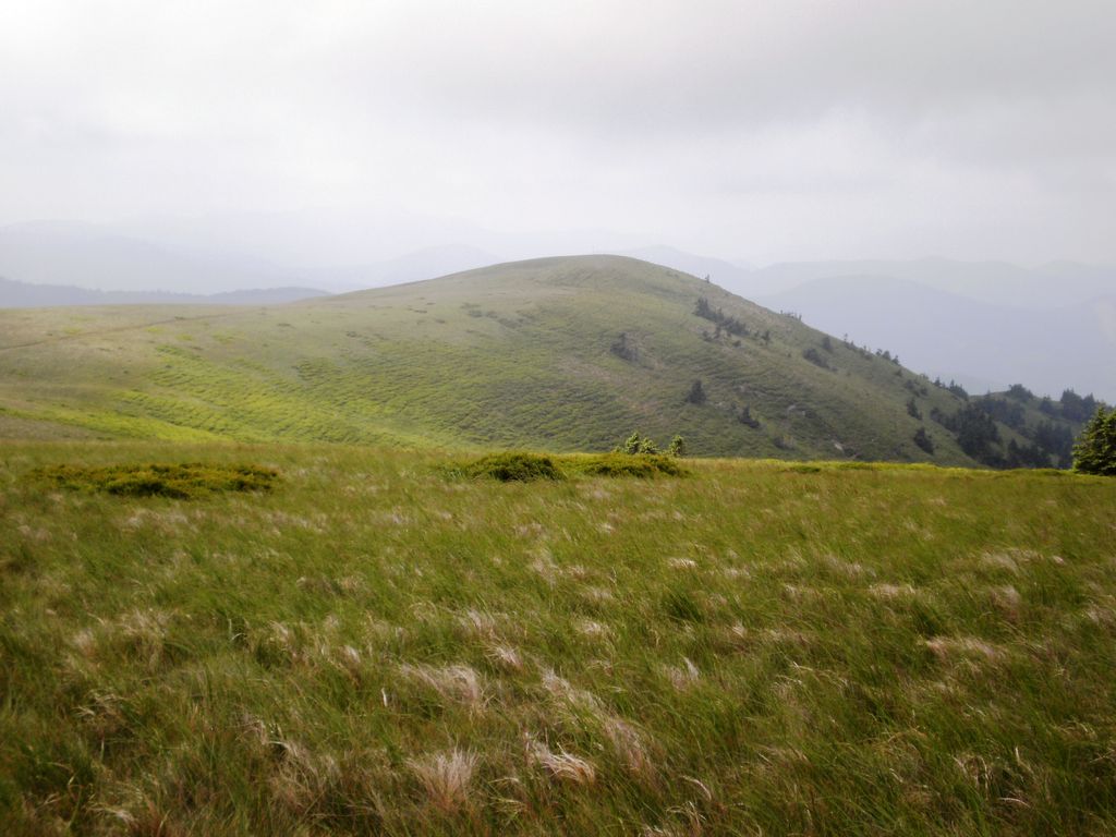 Photo №2 of Veterné